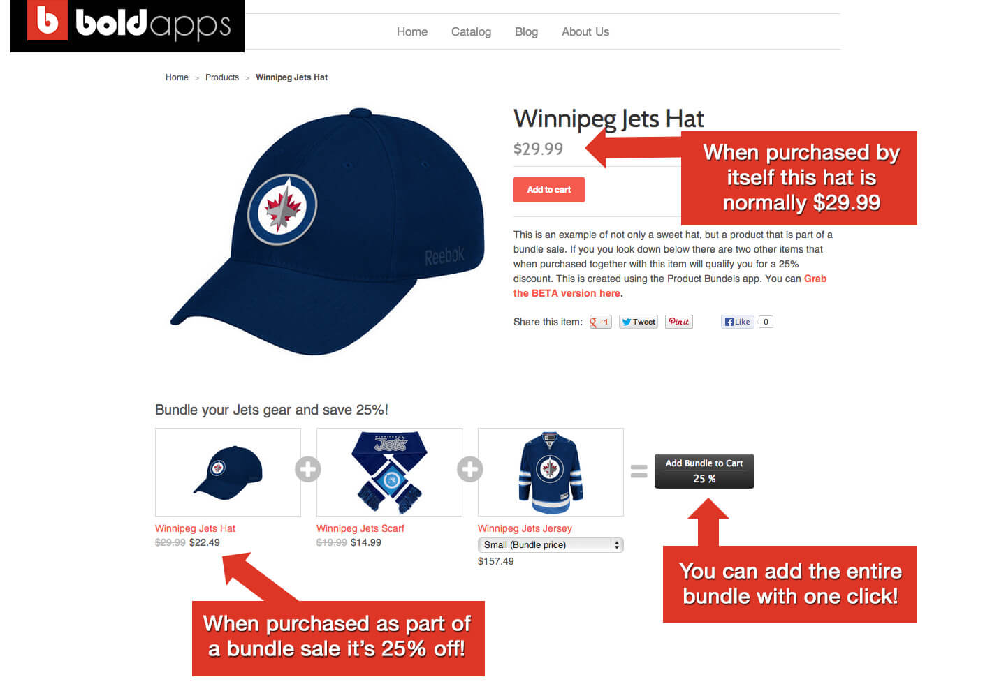 Winnipeg Jets Hat