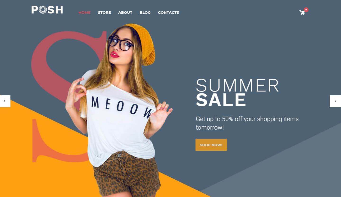 posh Best Amazing Fashion WordPress Themes1