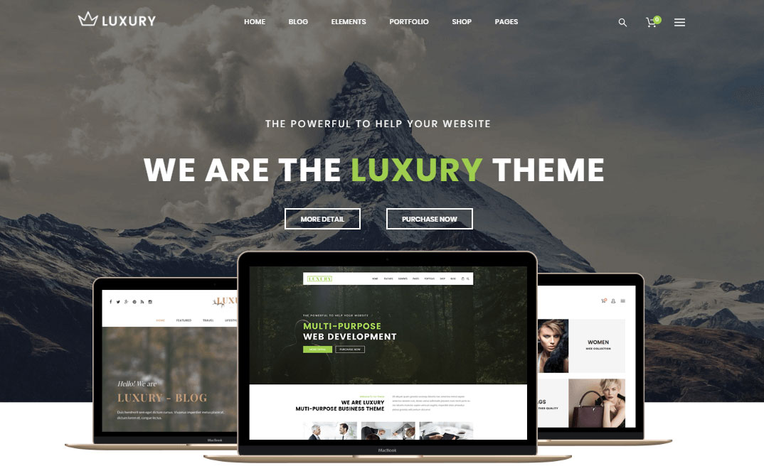 25 Best jewelry WordPress themes by dotstore565