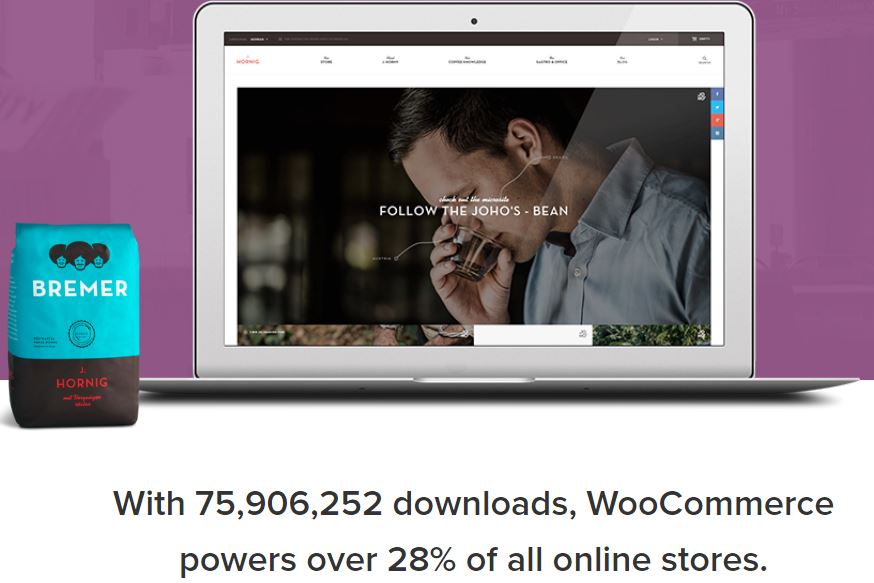 Figure 14 - WooCommerce - List of Free WordPress Plugins to Improve Your Site