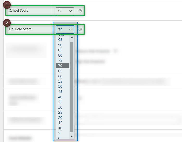 Plugin Setting