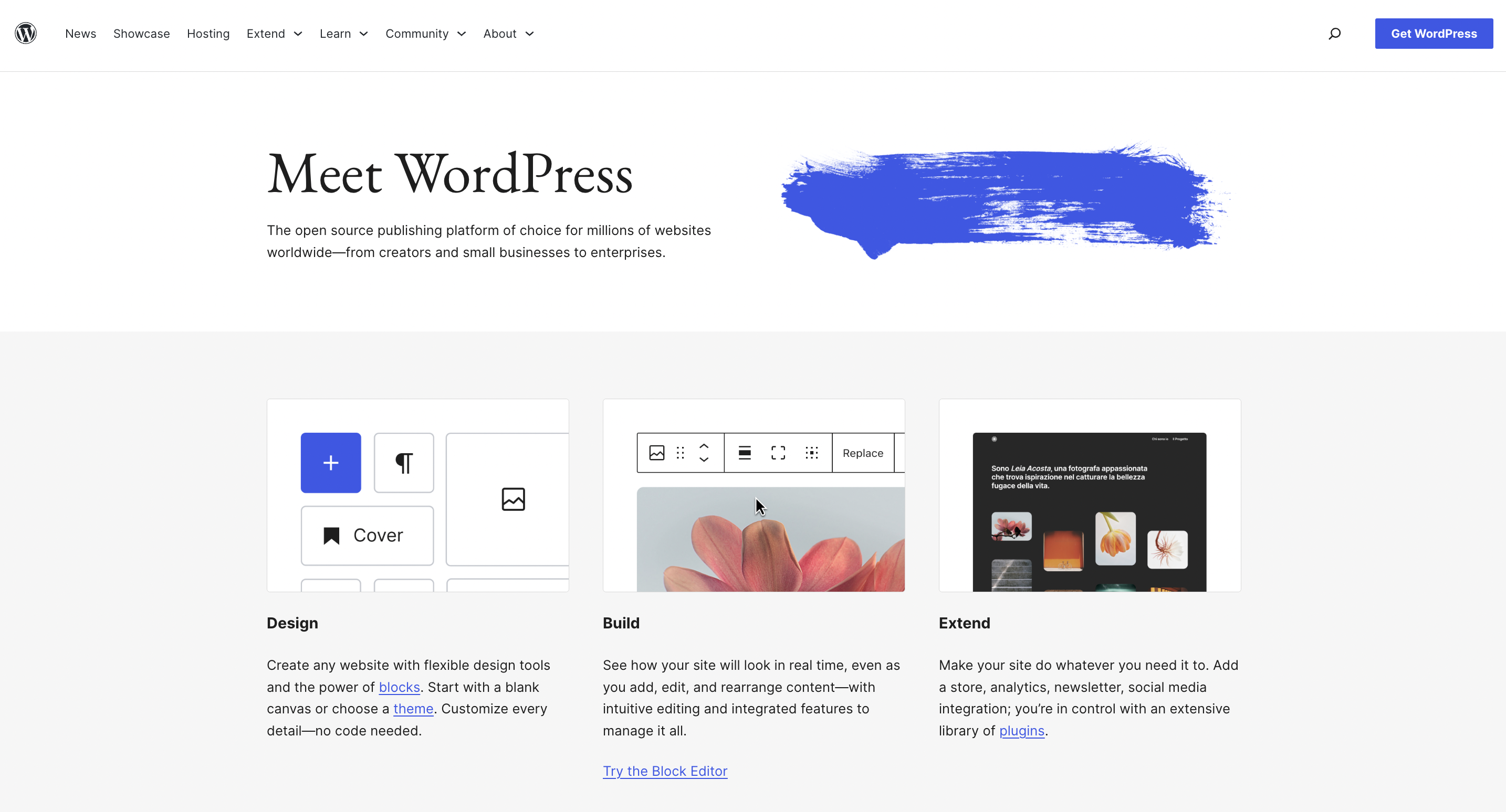 WordPress Website Homepage